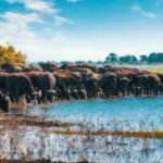 Lake Manyara