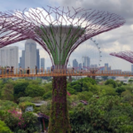 Hawaiian Airlines Singapore Office